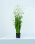 Load image into Gallery viewer, LONGJIN Artificial White Allium 140 cm - 24