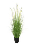 Load image into Gallery viewer, LONGJIN Artificial White Eremurus 140 cm - 30