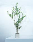 Load image into Gallery viewer, NGF Artificial Eucalyptus Tree 210 cm