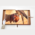 Load image into Gallery viewer, ASSOULINE Falcons from Saudi Arabia Book