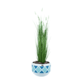 Load image into Gallery viewer, LONGJIN Artificial White Eremurus 110 cm - 28