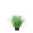 Load image into Gallery viewer, LONGJIN Artificial Green Grass 55 cm - 35