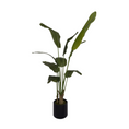 Load image into Gallery viewer, NGF Artificial Strelitzia Tree 180 cm