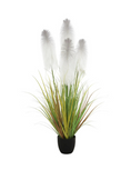 Load image into Gallery viewer, LONGJIN Artificial Plume Grass 152 cm - 6
