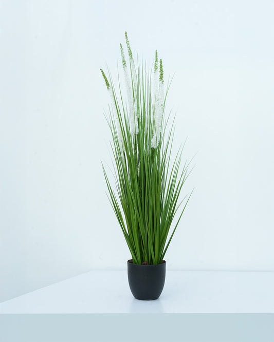 LONGJIN Artificial White Eremurus 110 cm - 28