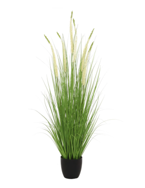 LONGJIN Artificial White Eremurus 140 cm - 30