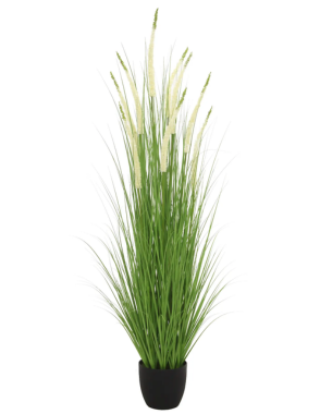 LONGJIN Artificial White Eremurus 170 cm - 32