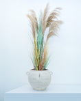 Load image into Gallery viewer, LONGJIN Artificial Beige Dried Pampas 170 cm - 34
