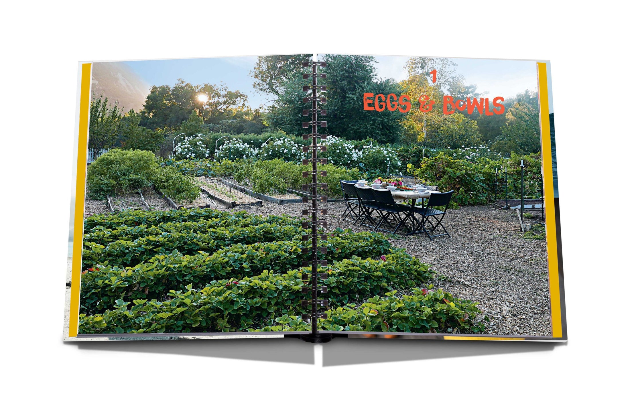 ASSOULINE The Ashram: The Way We Eat Book