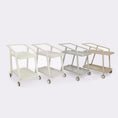 Load image into Gallery viewer, 10DEKA PULVIS Light Gray Outdoor Trolley
