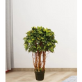 Load image into Gallery viewer, HAIHONG Green Boxwood Artificial Tree
