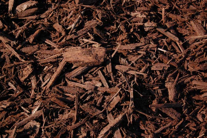 Mulch Dark Brown Small