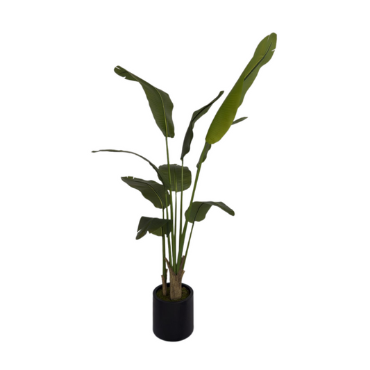 NGF Artificial Strelitzia Tree 180 cm