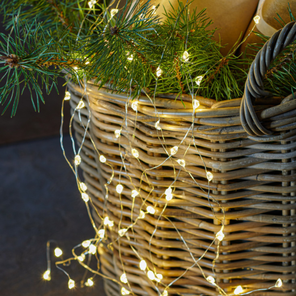 SIRIUS MAGGIE 40 LED Lighting Chain