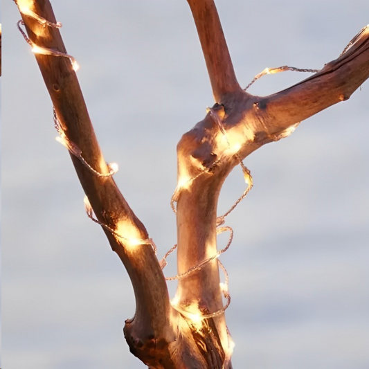 SIRIUS JASON 40 LED Lighting Chain