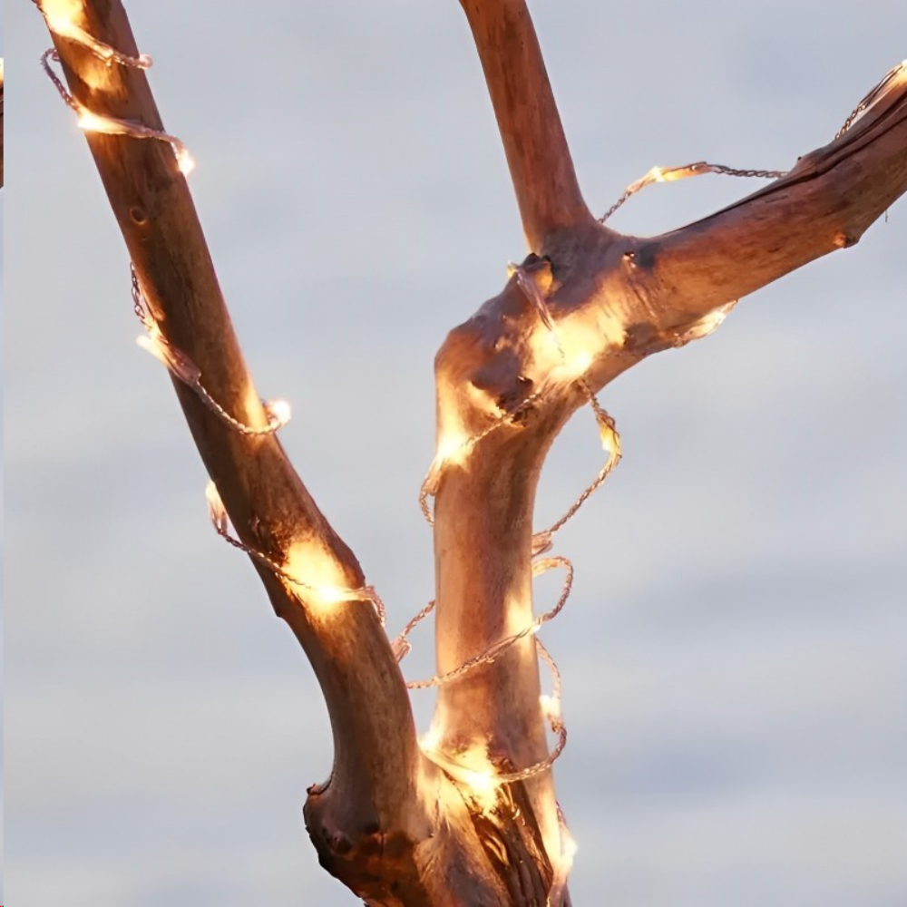 SIRIUS JASON 40 LED Lighting Chain