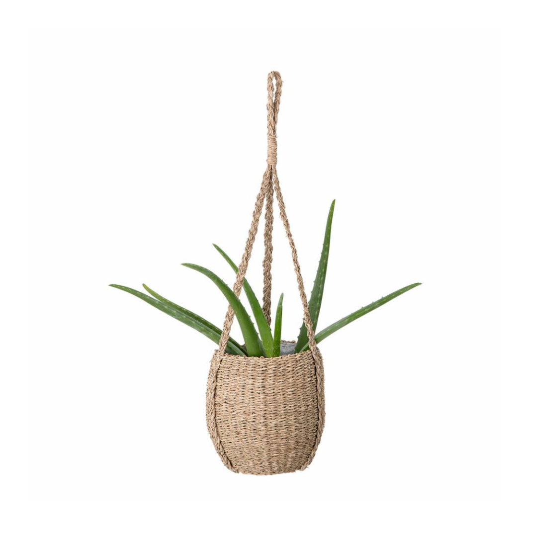 BLOOMINGVILLE ROCKIE Hanging Pot
