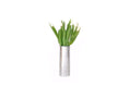 Load image into Gallery viewer, XLBOOM NOELLA Medium Silver Vase

